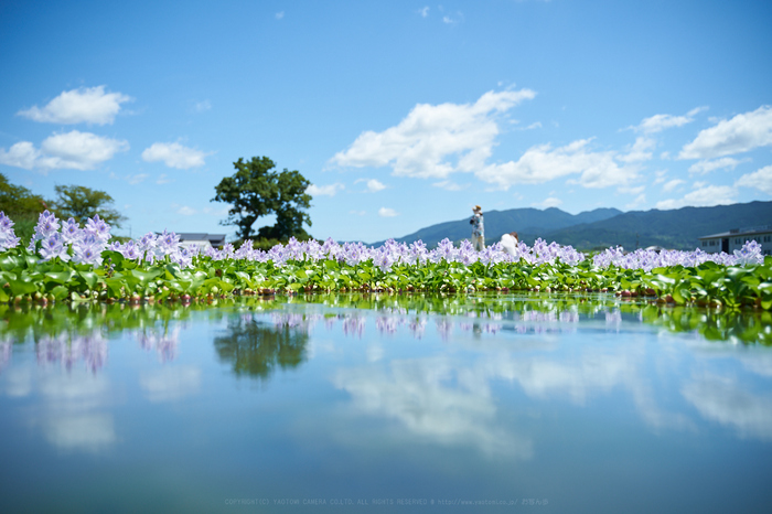 TAMRON 28-75mm F2.8 DiIII RXDレンズ(ズーム)